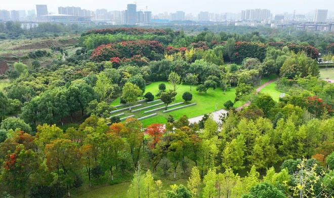 了合肥骆岗公园上榜！pg电子平台刚刚官宣(图1)