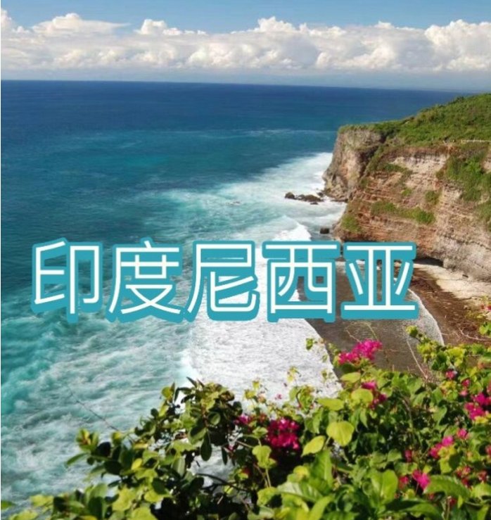 国国际电商(印尼)产业博览会pg电子免费