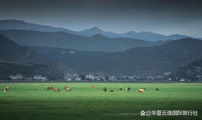 社深度测评:9999分王者与行业暗礁避坑pg电子免费模拟器游戏2025年云南旅行(图3) 社深度测评:9999分王者与行业暗礁避坑pg电子免费模拟器游戏2025年云南旅行(图3)